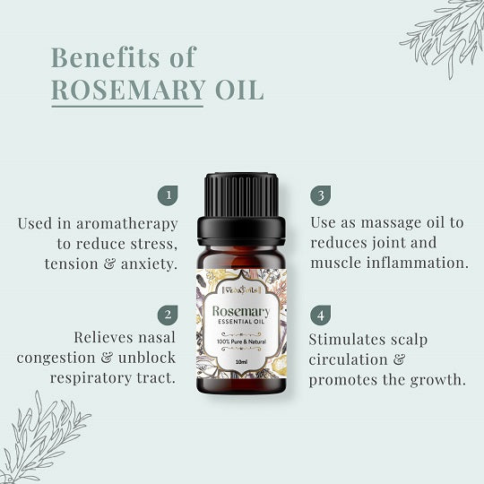 rosemary Oil Benefits