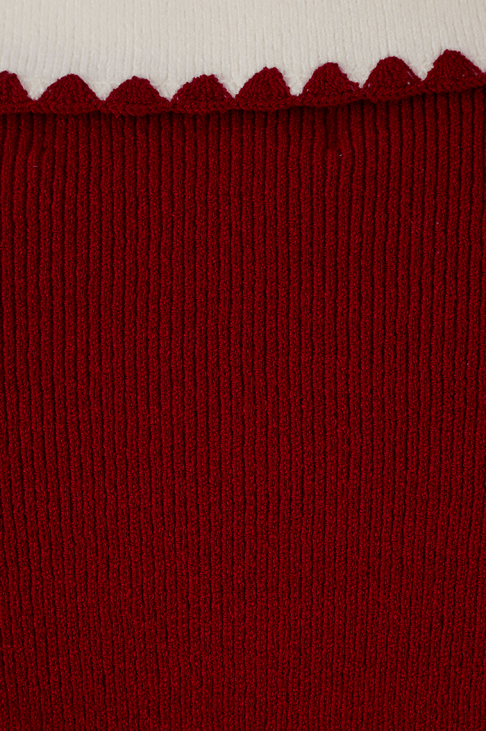 Red Encanto Embroidered Tricot Polo Shirt_6